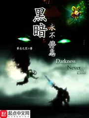 《黑暗永不停息》封面