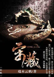 《宋藏》封面