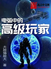 《电弧中的高级玩家》封面