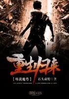 《重生归来唯我魔尊》封面