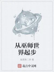 《从巫师世界起步》封面