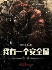 《我有一个安全屋系统》封面