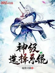 《神级选择系统》封面