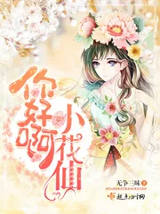 《你好啊小花仙》封面