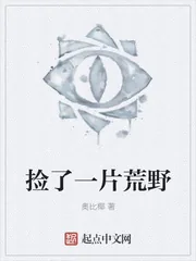 《捡了一片荒野》封面