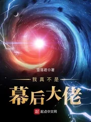 《我真不是幕后大佬》封面