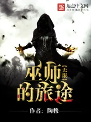 《无限之巫师的旅途》封面