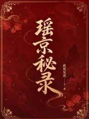 《瑶京秘录》封面