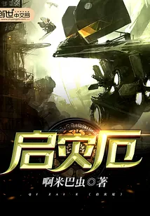 《启灾厄》封面