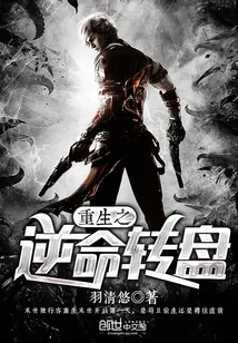 《重生之逆命转盘》封面