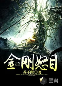 《金刚怒目》封面