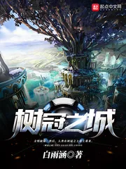 《树冠之城》封面