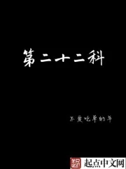 《第二十二科》封面