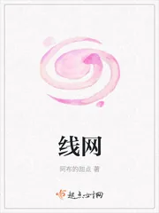 《线网》封面