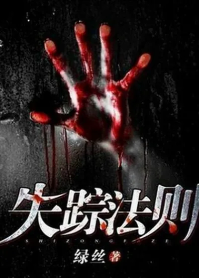 《失踪法则》封面