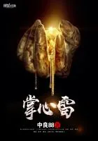 《掌心雷》封面