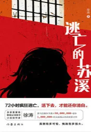 《逃亡的苏溪》封面