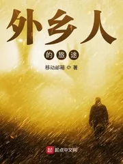 《外乡人的旅途》封面