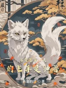 《爆裂飞车：我的飞车是神兽》封面