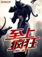 《至上疯狂》封面