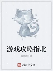 《游戏攻略指北》封面