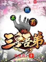 《三皇吾弟》封面