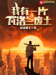 《我有一片瓦洛兰废土》封面