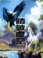 《踏破虚空》封面