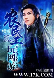 《农民工玩网游》封面