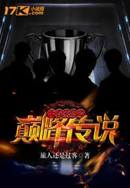 《王者荣耀之巅峰传说》封面