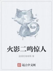 《木叶二鸣惊人》封面