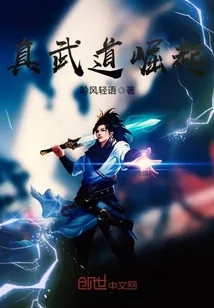 《真武道崛起》封面