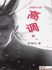 《我真的不想高调啊》封面