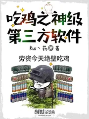 《吃鸡之神级第三方软件》封面