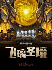 《飞璃圣境》封面