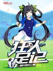 《狂人足记》封面