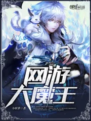 《网游大魔王》封面