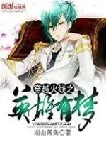 《穿越火线之英雄有梦》封面