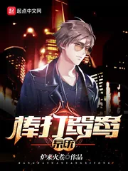 《棒打鸳鸯系统》封面