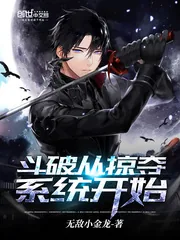 《斗破从掠夺系统开始》封面