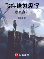 《飞升错世界了怎么办？》封面