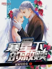《王者荣耀之寒星下的救赎》封面