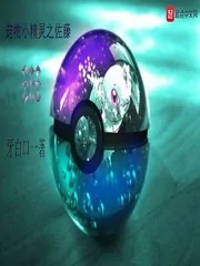 《宠物小精灵之佐藤》封面
