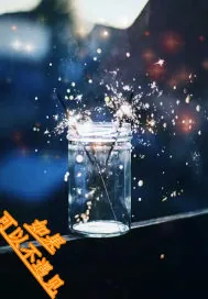《如果可以不遇见》封面