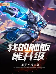 《我的舢舨能升级》封面