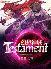 《幻想神域Testament》封面
