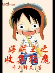 《海贼之收集狂魔》封面