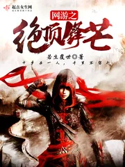 《网游之绝顶锋芒》封面