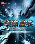 《斩破虚实》封面