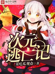 《次元逃亡记》封面
